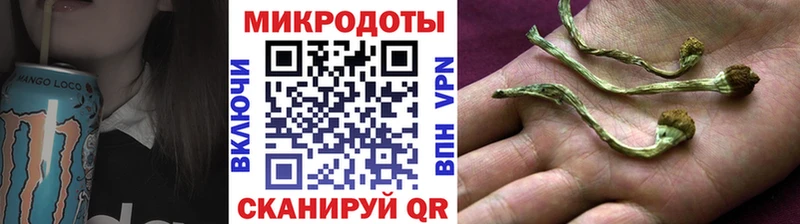 Псилоцибиновые грибы Psilocybine cubensis  Ухта 
